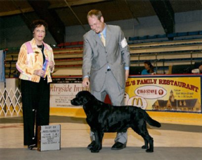 Congratulations WILLY