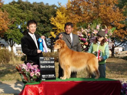กรรมการไทยบินไปตัดสุนัขในงานใหญ่ ที่ประเทศญี่ปุ่น