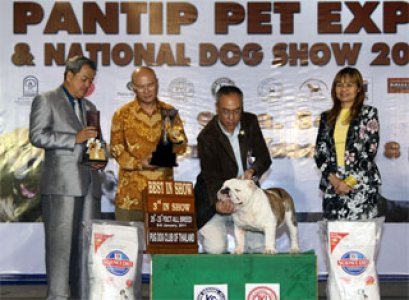 TH.CH.ROSBRGH'S STORM SURGE