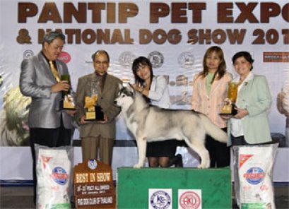 TH.GRAND.CH.MYLA ROCK HUDSON