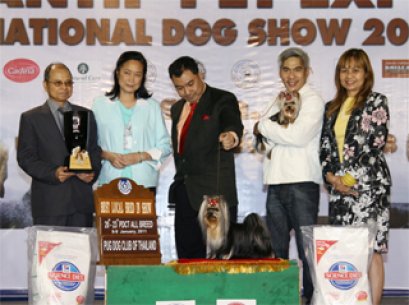 TH.CH.MILLENNIUM'S HARMONY @ NANETTE'S