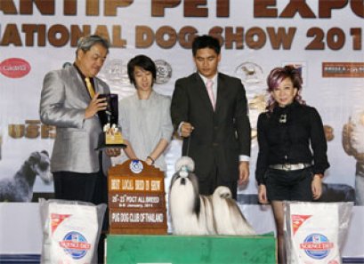 TH.CH.HEARTY'S HIPPY HIPPY SHAKE