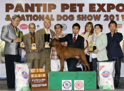 TH.GRAND CH.TAWAN NAMFAH DAENG-PLUANG@SIAM