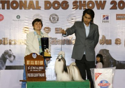 TH.CH.HEARTY'S HIPPY HIPPY SHAKE