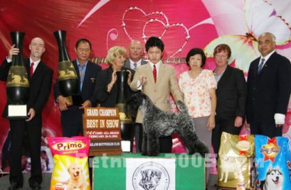 TH.ENG.IR.CH.SHARP N SHOCKING OF IRISBLU