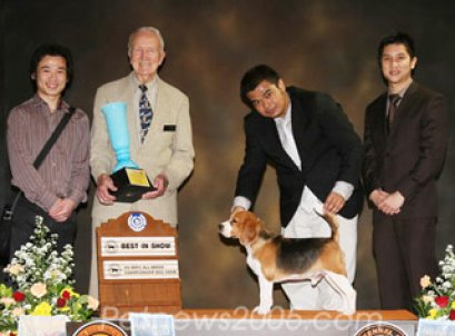 AM.TH.CH.PERFECT COMPANIONS THANK GOD ITS FRIDAY