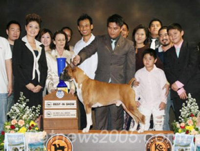 TH.CH.CASTLE'S DREAMER OF SUN