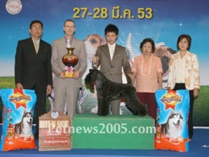 TH.AM.CH.HOTSPICES CHECK IT OUT