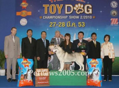 TH.AM.CH.HURICANES GLO-STARS MYSTERY MAN