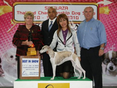 TH.CH.SWIFTHUND SACRED THONGLOR