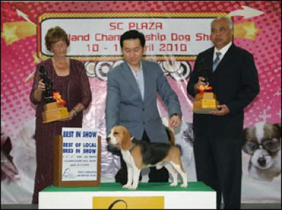 TH.CH.BOUGAINE XPLORERS CHEWY SHEW BEKKA