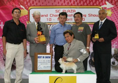 AM.TH.CH.KELANES ONE TOO MANY