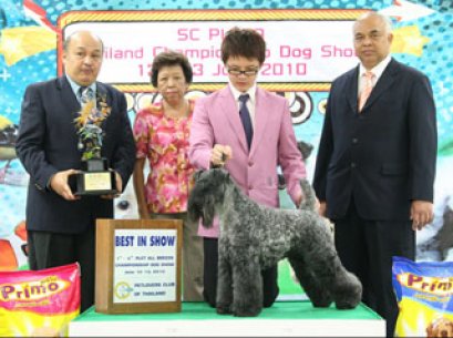 TH.GRAND.ENG.IR.CH.SHARP N SHOCKING OF IRISBLU