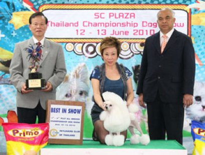 AM.CH.APEX TIME OF YOUR LIFE