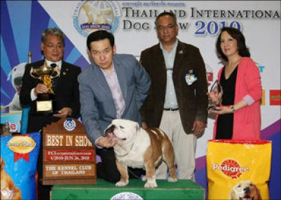 TH.GRAND CH.EMBEREZ BARRACUDA