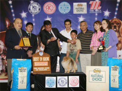 Best In Show Of The Year 2010