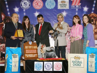 BEST PUPPY OF THE YEAR 2010