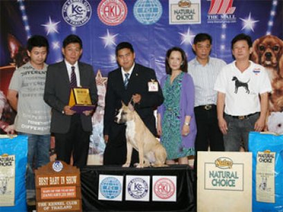 BEST BABY OF THE YEAR 2010