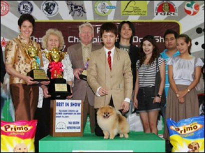 Top 20 All Breed 2010