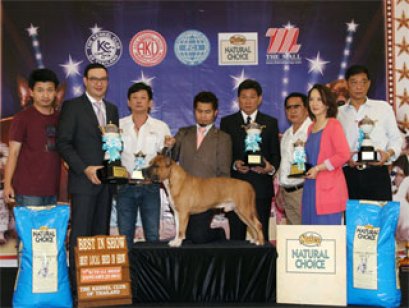 AM.TH.GRAND CH. DOGGY WORLD'S APPLE JACK JUNIOR