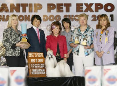 TH.CH.HEARTY-LEGRAND I'M A PLAYBOY