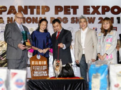 TH.CH.MILLENNIUM'S HARMONY @ NANETTE'S