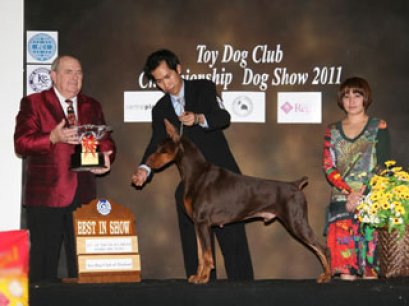 TH.UCU.CH.CHLOE DE BLACK SHADOW