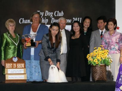 TH.CH.FUNNY LADIES CALL ON ME FCI