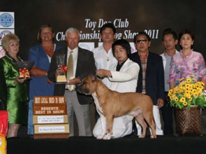 TH.AM.CH.DOGGY WORLD'S APPLE JACK JUNIOR