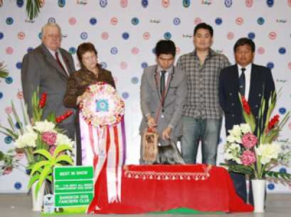 AM.CH.WEDGEWOODS AMBASSADOR AT LARGE