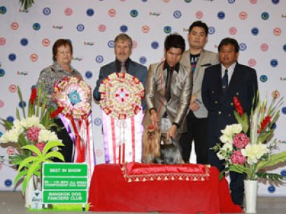 AM.CH.WEDGEWOODS AMBASSADOR AT LARGE