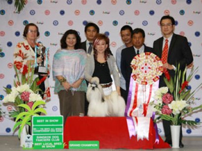 TH.GRAND.CH.HEARTY-LEGRAND I'M A PLAYBOY