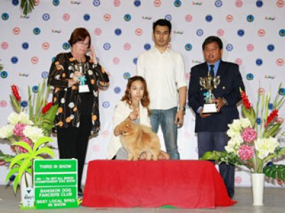 FAMILY POM'S DOLLARS