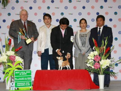 IMAGE'S ZARAKI KENPACHI AT BAANMONGKOL