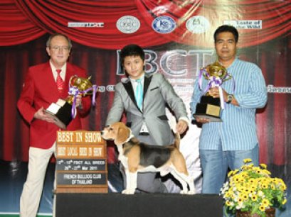 FBCT Championship Dog Show 1/2011(AB2)