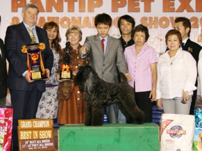 TH.AM.Grand CH.HOTSPICE'S CHECK IT OUT