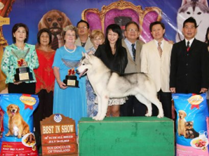 TH.AM.CH.HURICANES GLO-STARS MYSTERY MAN