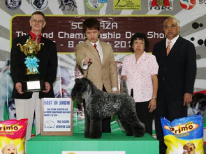 TH.GRAND.ENG.IR.CH.SHARP N SHOCKING OF IRISBLU