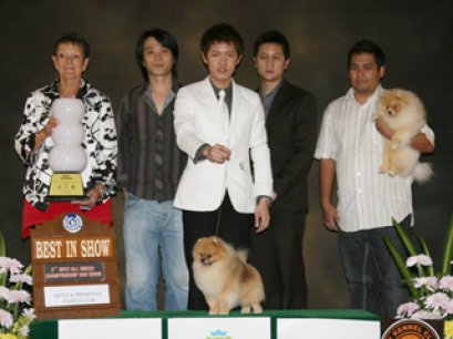 TH.GRAND CH.PHOENIXS GENOME