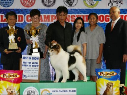 TH.CH.BANCHOKHUN'S GIANT