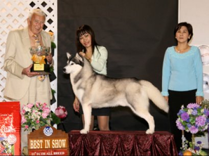 TH.GRAND.CH.MYLA ROCK HUDSON