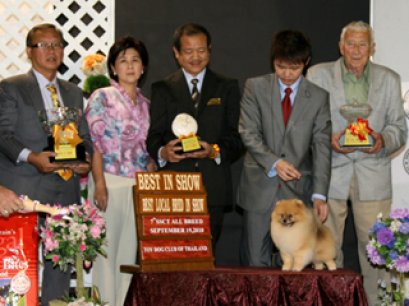 TH.GRAND.CH.PHOENIX'S GENOME (F1M1A)