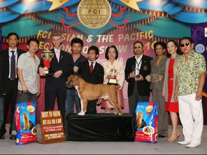 AM.TH.GRAND CH. DOGGY WORLD'S APPLE JACK JUNIOR