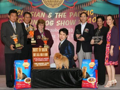 WR.SK.TH.AM.CH.STARLIGHT'S MY SWEET DREAM