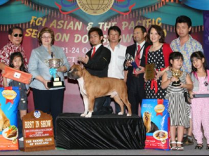 AM.TH.GRAND CH. DOGGY WORLD'S APPLE JACK JUNIOR