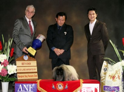 ENG.TH.CH.LIVANDA SAN ETO