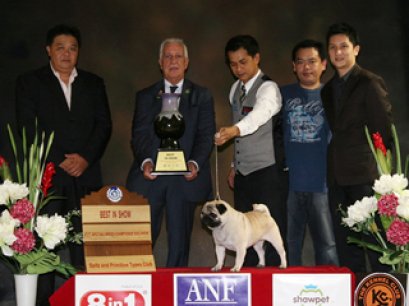 TH.AM.CH.PINKK HEEZ GOT THE LOOK