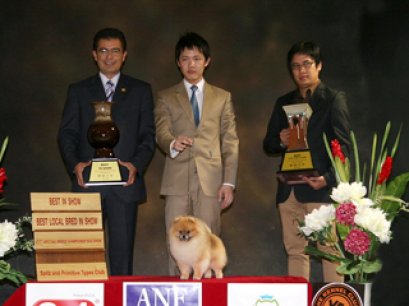 TH.GRAND.CH.PHOENIX'S GENOME (F1M1A)