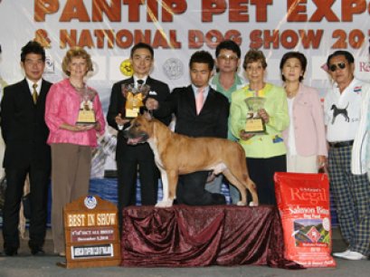 AM.TH.GRAND.CH.DOGGY WORLD'S APPLE JACK JUNIOR