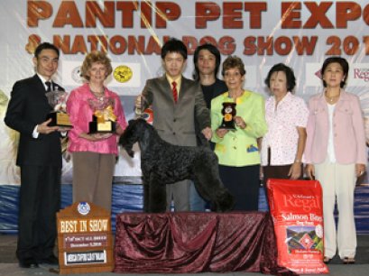 AM.TH. GRAND.CH.HOTSPICE'S CHECK IT OUT